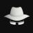 WHITE HAT HACKER